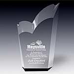 crystal wings award