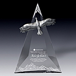 crystal and pewter eagle award