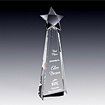 starlight tower award