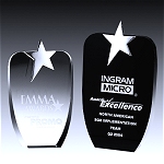 black absolute star award